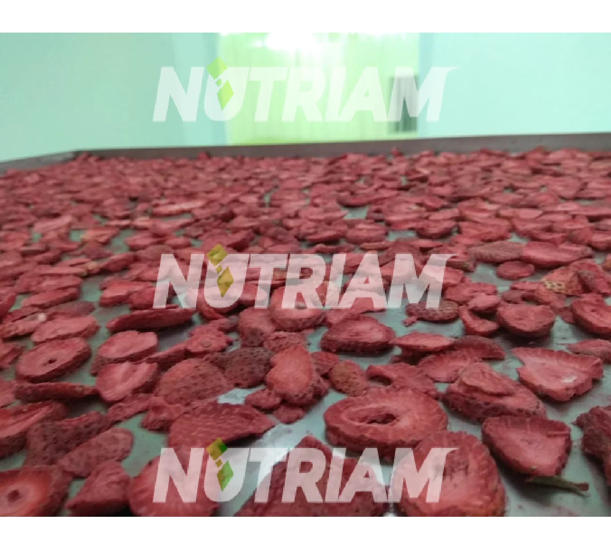 Freeze Dried Wholesale Low Moq Frozen Products Bulk Jack Freeze Dried Fruit Strawberry Foam Pieces Price