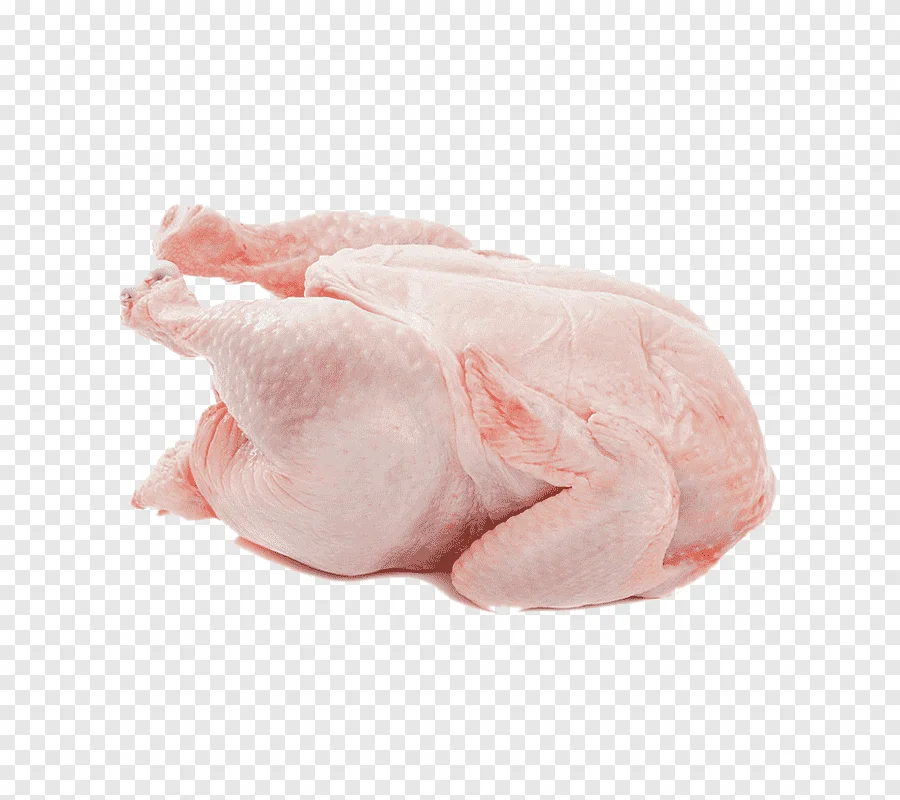Top Quality Quality Healthy And Natural Whole Chicken Frozen Whole Chicken Poultry Meat Chicke