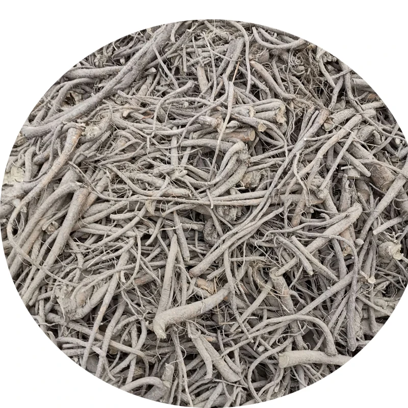 Herbs used as an anti-inflammatory  anti-microbial agent radix inulae elecampane Inula helenium L. Inula racemosa