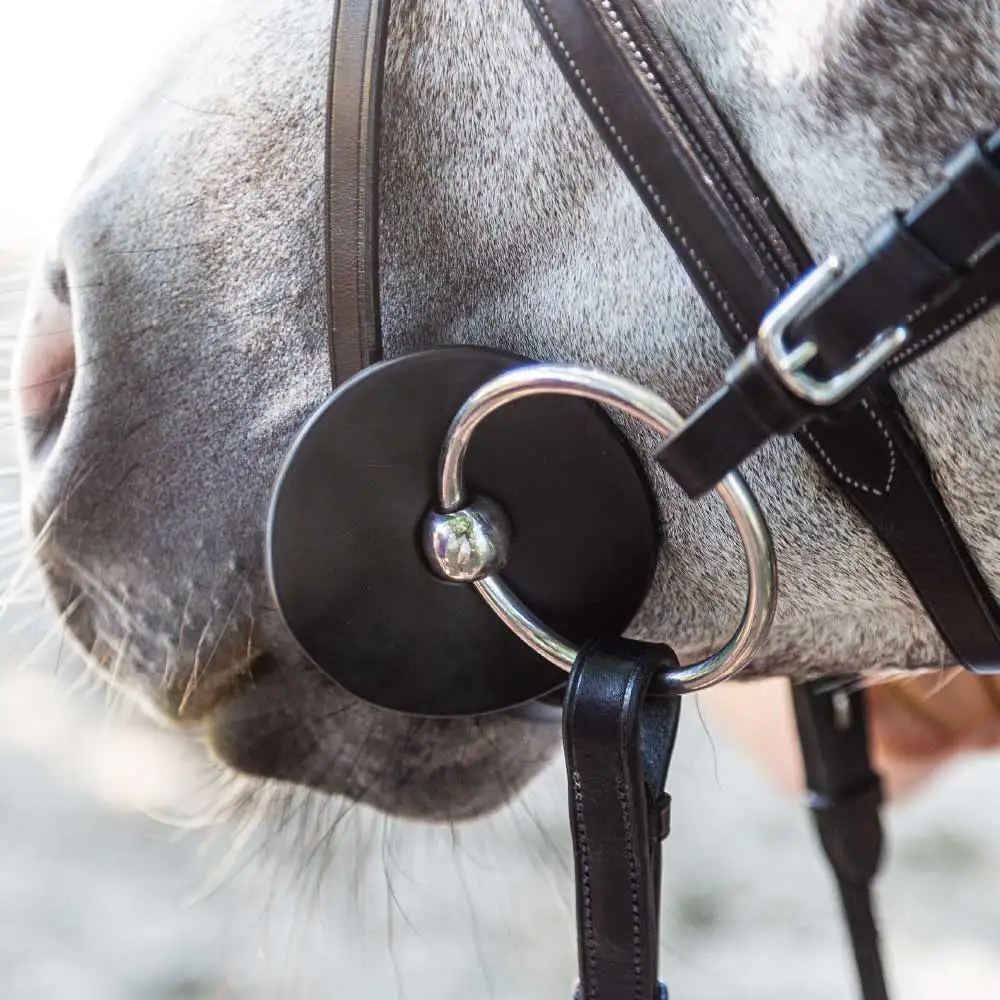 Loose Ring Double Joint  Bit  horse equestrian products snaffle bit for horses double ring hot selling horse equipment