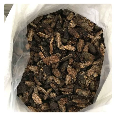 NATURAL DRIED NONI FRUIT EXPORTER - WHOLE AND HALF-CUT VARIETIES AT AFFORDABLE RATES