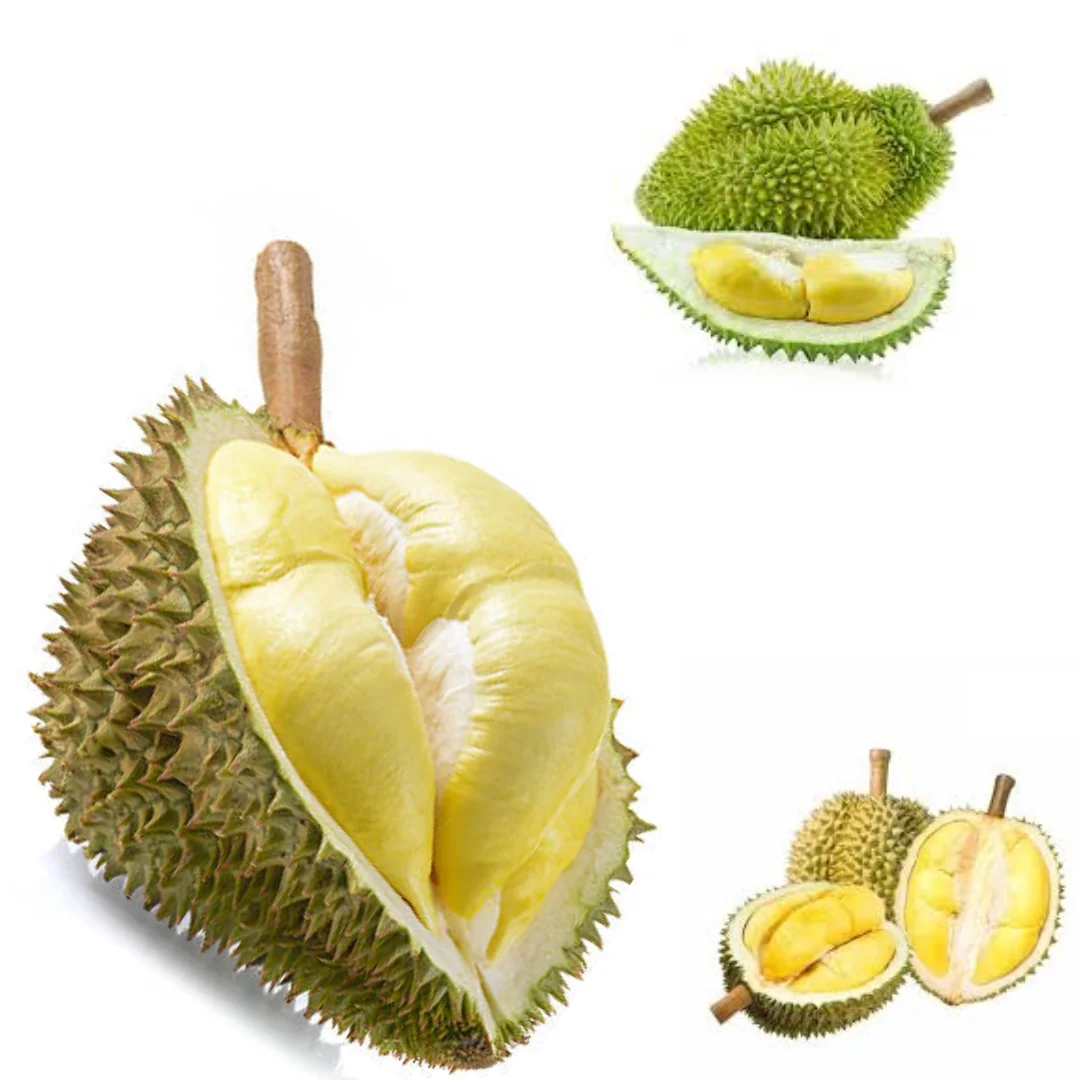 The Best Fresh Durian , Tropical Fruit, Vietnam Export products to China, Thailand, Malaysia, Turkey Fresh Durian Fruit