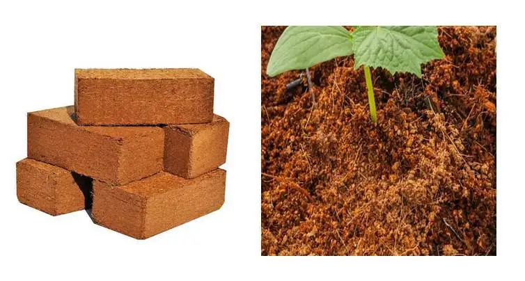 Top selling High grade 5kg Cocopeat Block Direct Manufacturer Cocopeat Coco dust 100% Organic
