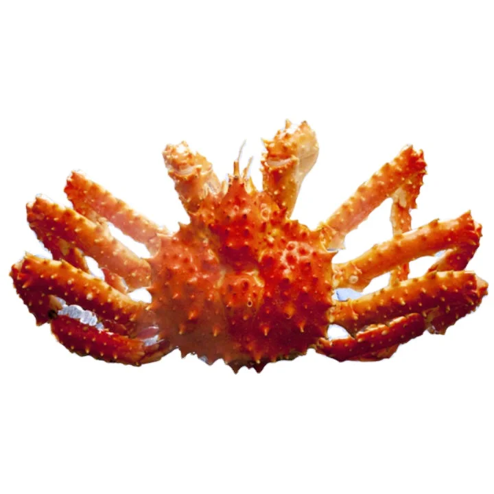 Premium Frozen Crab Meat/Wholesale Crab Meat/Best Price Callinectes sapidus - Whatsapp: +32 460 247 500