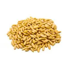 Organic Pine Nut Kernel For Sale