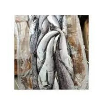 download (2) (1).jpg