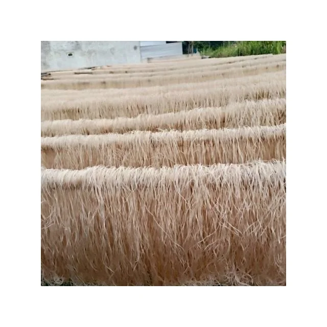 Rice Noodle - Dried Rice Noodle high quality Cheap Price - Vermicelli/ dried rice noodle with CE / EU Certificate