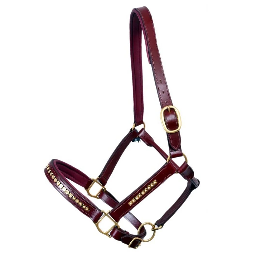 Best Quality Wholesale Price Custom Horse Leather Halter For Outdoor Sports Available For Wholesaling