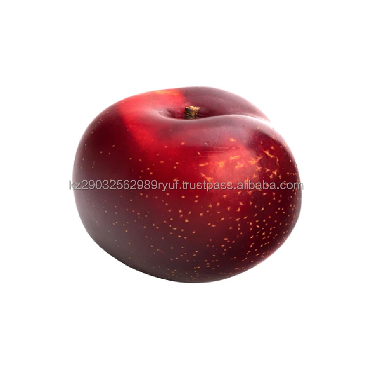 Large plum fresh delicate fruit rich in vitamins and microelements winter-hardy variety wholesale