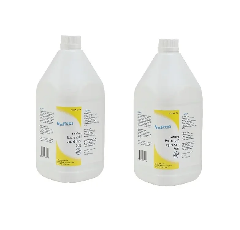 Bulk Sale Best Price Customized Environmentally Friendly Cleaning Fresh Floral Anti-Bacterial 2.5Liters Liquid Soap Made in Sing