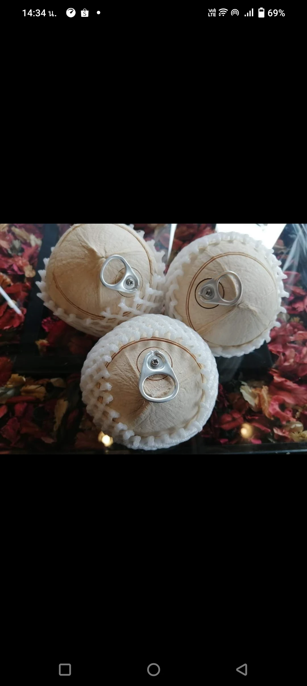 Premium Fresh Young Coconut 9 Pieces per Carton From Thailand Wholesale OEM High Quality Export Grade