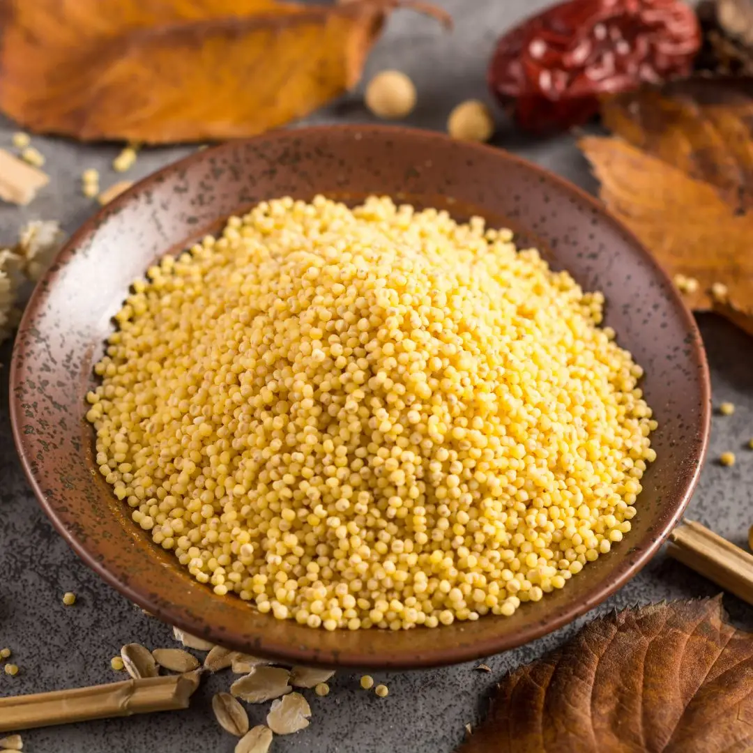 Купите 100% органические продукты пса Кодо пищевые Kodo лучшего качества индийскими экспортерами на