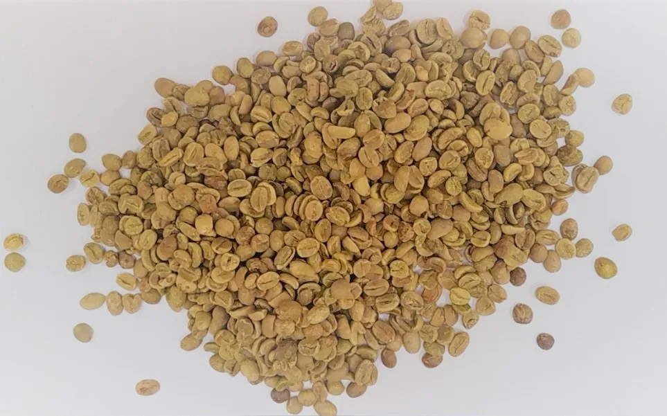 Color Weight Variety Shelf Origin Type Life Coffee Beans Green Coffee Beans Arabica Semi Washed S16  HUNG TAM VN from Vietnam