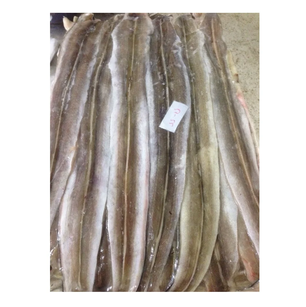 Cheap Price Frozen Yellow Pike Conger Eel Seafood Indonesia