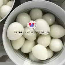ELITE CANNED QUAIL EGGS / SAVORY AND NUTRITIOUS / MADE IN VIETNAM