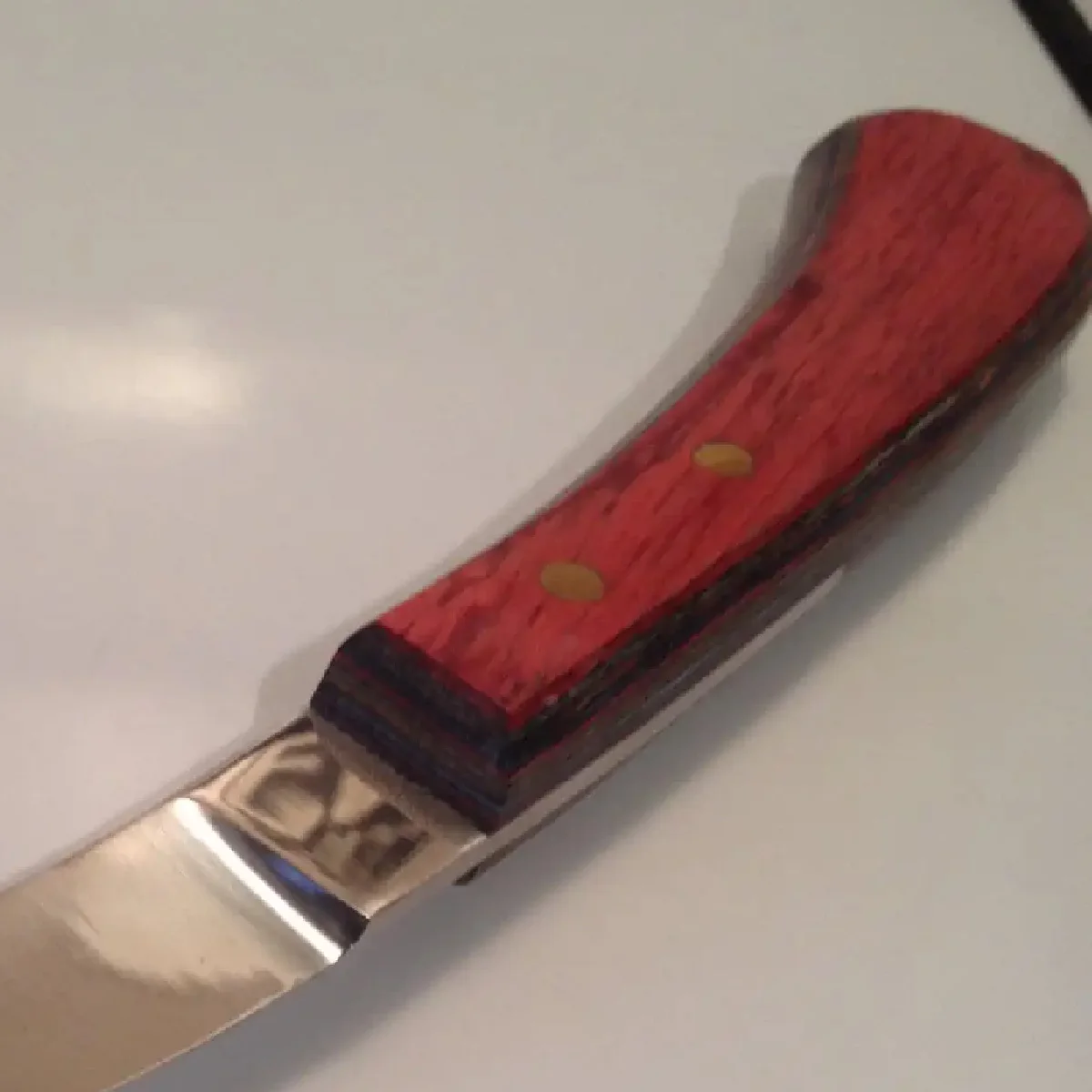 Factory Wholesale Custom Logo Wooden Hoof Knives Best selling Horse Grooming Knife Veterinary Equipment Instruments