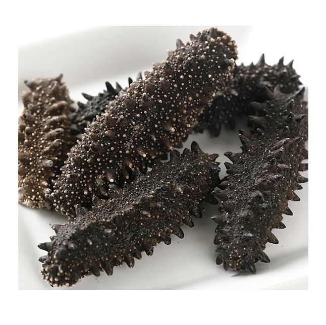 Factory Supply Bulk Wholesale Price Top Quality Dried Sea Cucumber (Seafood) Available For Sale