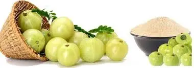 Manufacturer of Amla Powder from India Amla Powder Fights Free Radicals that Cause Aging and Skin Damage Suppliers From India