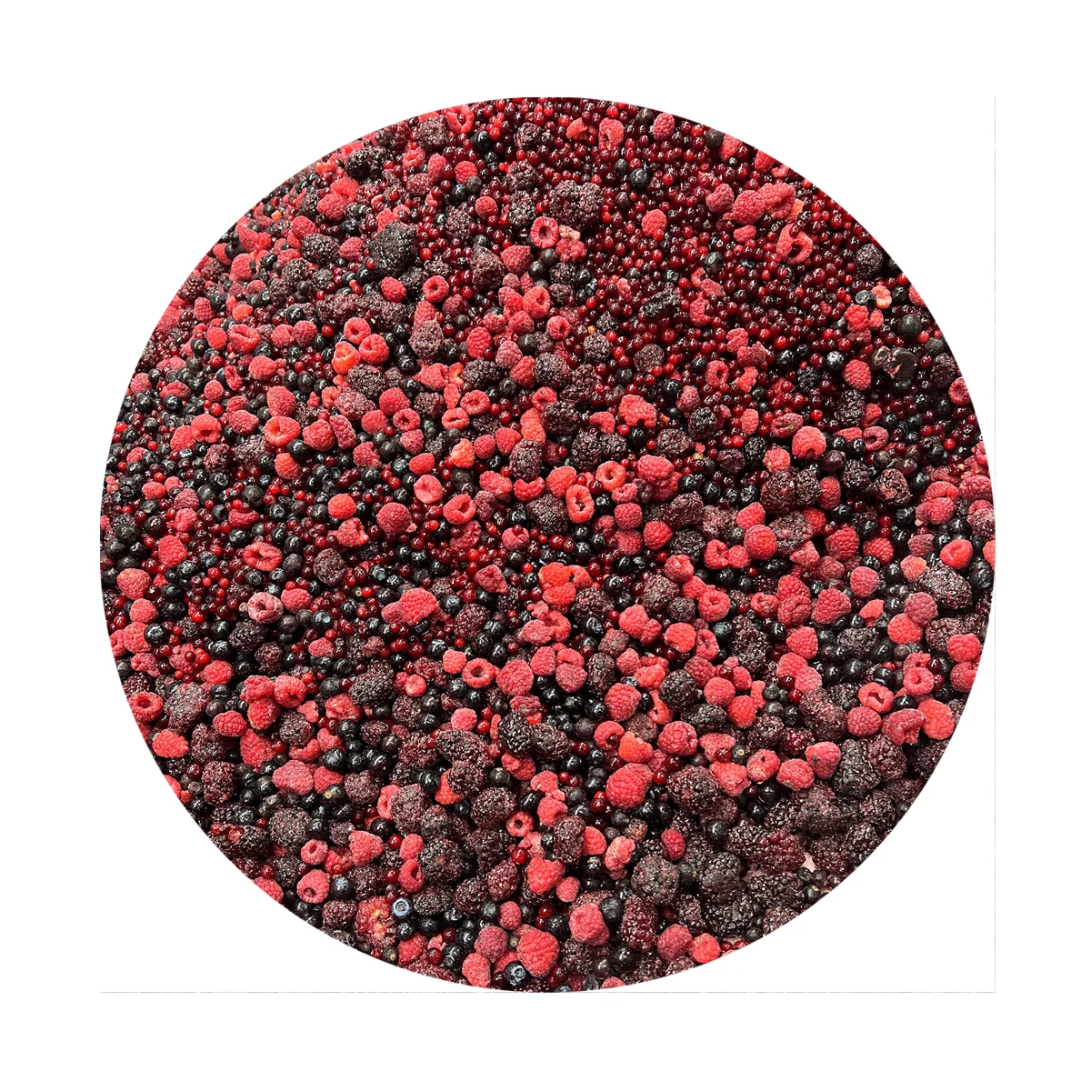 New source food IQF Frozen blueberry raspberry strawberry blackberry mix red berries