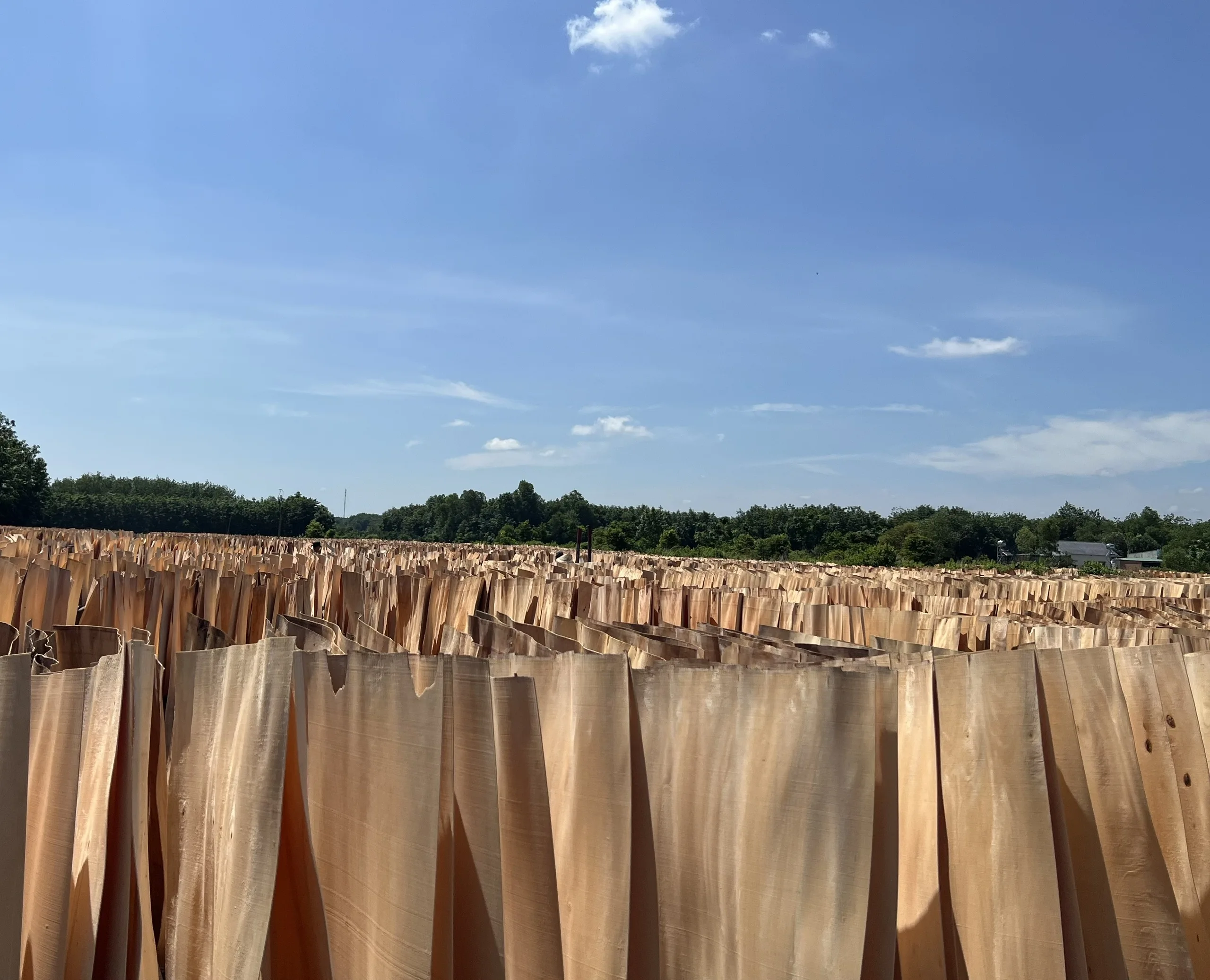 Оптовая продажа Высококачественная деревянная фанера из 640 резины 1270x whatsapp: + 84338625625