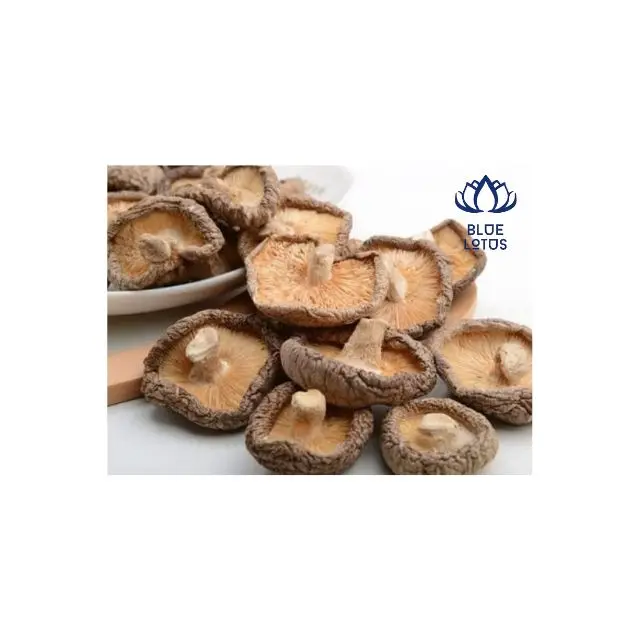 Dried Shiitake Mushroom Good Wholesale Cooking Herb