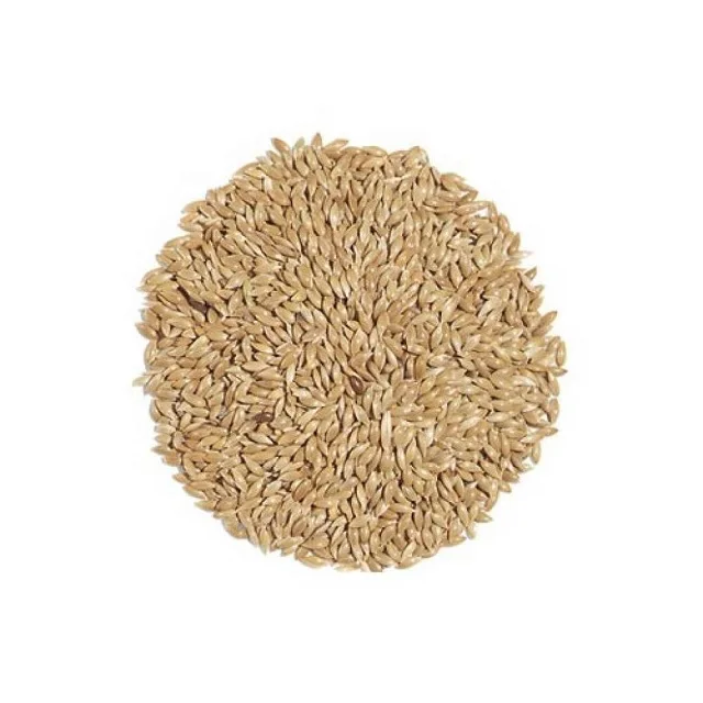 Factory supply canary seed canary bird seed alpiste with good price Wholesale Canary Seeds Organic
