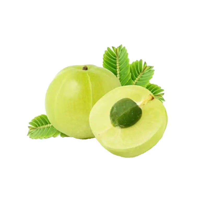 Новый Урожай Amla целиком от индийского экспортера
