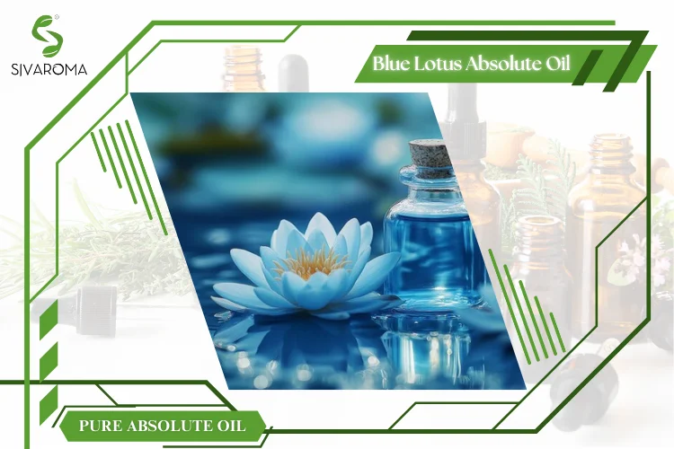 Blue Lotus Oil (M).png