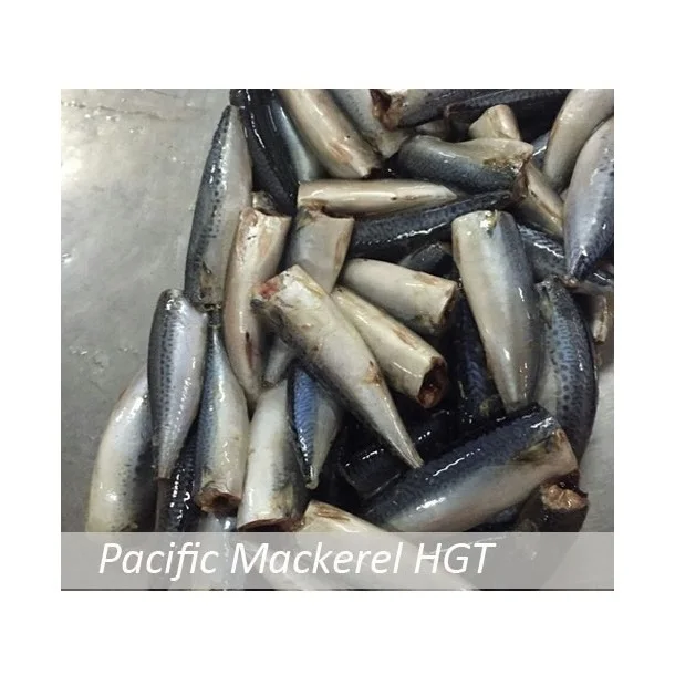 Organic IQF Pacific Seafood Frozen Mackerel Fish Whole Horse Mackerel Bulk Packaging Water Preservation