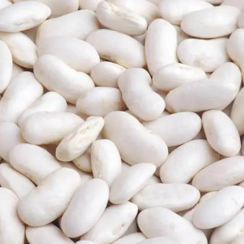 Premium quality White Kidney Beans for Human Consumption for sale