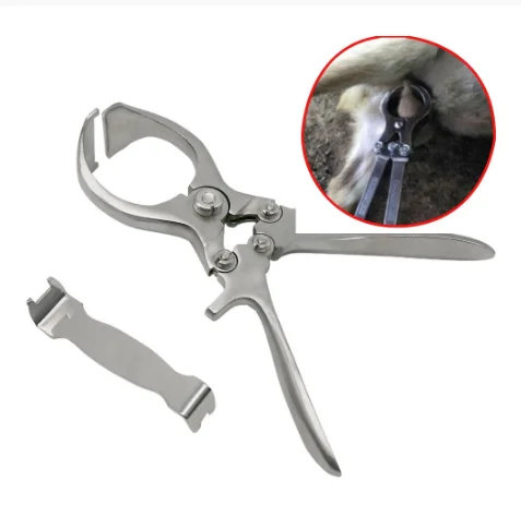 stainless Steel Pig Sheep Cow Castration Plier Clamp Tool Bloodless Castration Forceps