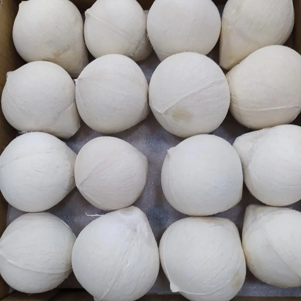Wholesale Premium Quality Cheap Price FRESH YOUNG DIAMOND COCONUT  From Viet Nam
