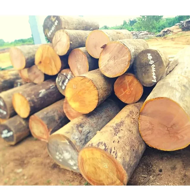 PINE,SPRUCE, BIRCH, OAK, ASH , AFRICAN HARDWOOD LOGS FOR SALE