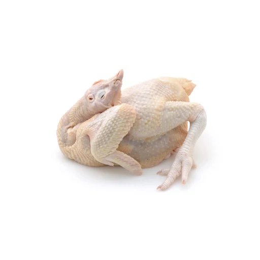 Canada Best Halal Whole Frozen Chicken For Export / Chicken breast , Chicken Legs, Chicken Drumstick
