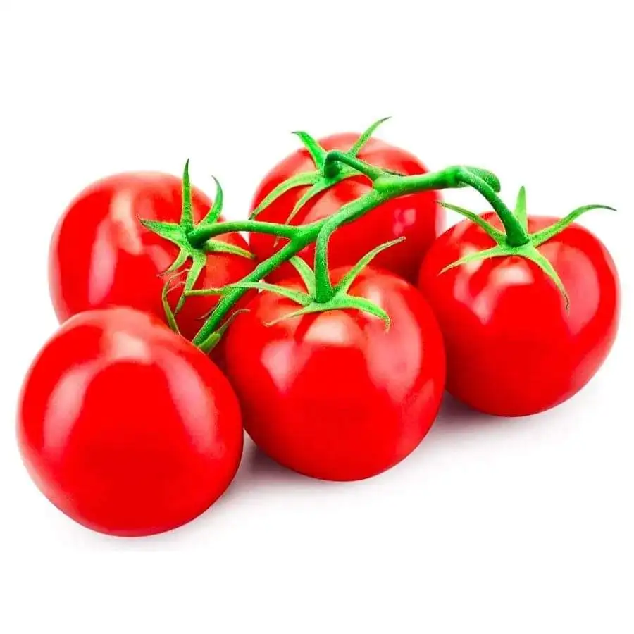 Свежий помидор созрел и вкусный, гарантированно соответствует стандартам качества, ферма натуральная