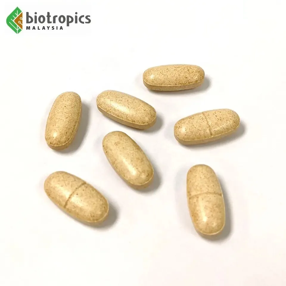Buy Wholesale Bulk 100% Tongkat Ali Extract Capsules Competitive Price High Quality Male Health Supplement