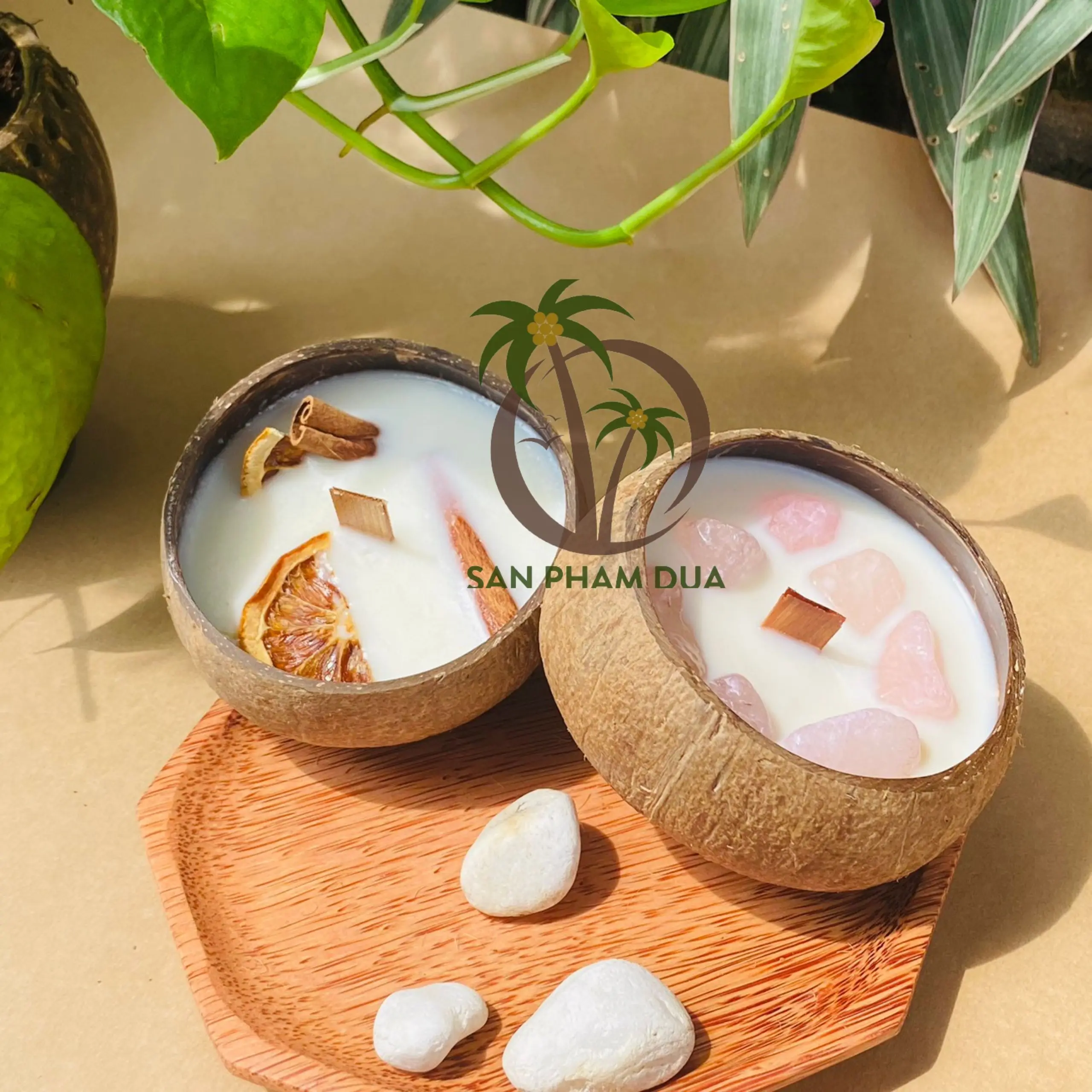 SCENTED CANDLE SOY WAX COCONUT CANDLE DECORATION COCONUT SCENTED CANDLE WOODEN WICK MANUFACTURER IN VIETNAM