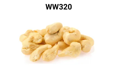 cashew milk and bakery Best Option Cashew nut kernels w240 w320 w450, High Quality Newest Crop 2022