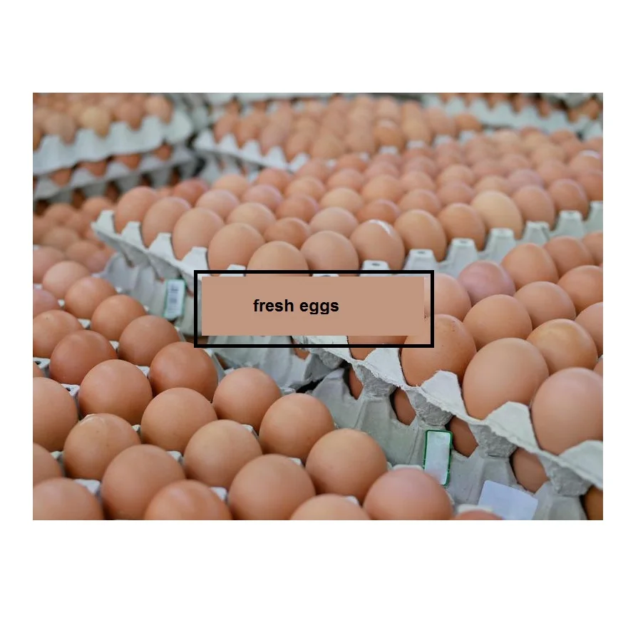 Top Quality Pure White / Brown Shell Fresh Table Chicken Eggs For Sale At Cheapest Wholesale Price