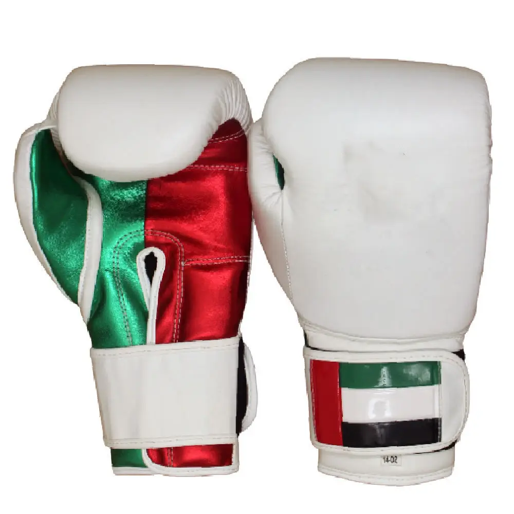 Fashionable Design Boxing Gloves Professional Winning Boxing Gloves Best selling reasonable price Gloves