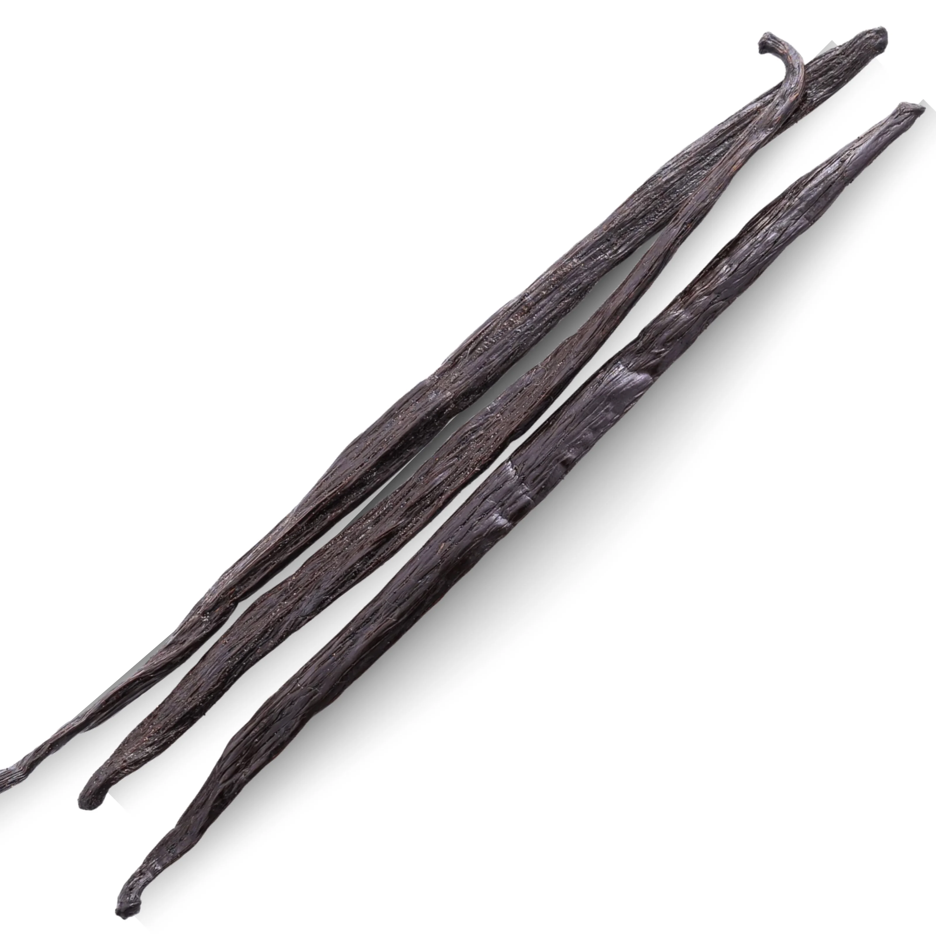 wholesale best Price black Vanilla Beans / Madagascar Vanilla