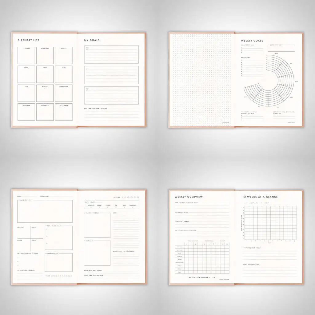 LABON Minimalist Design Peach Pink Wellness Productivity 100 GSM Paper Daily Planner With Buckle