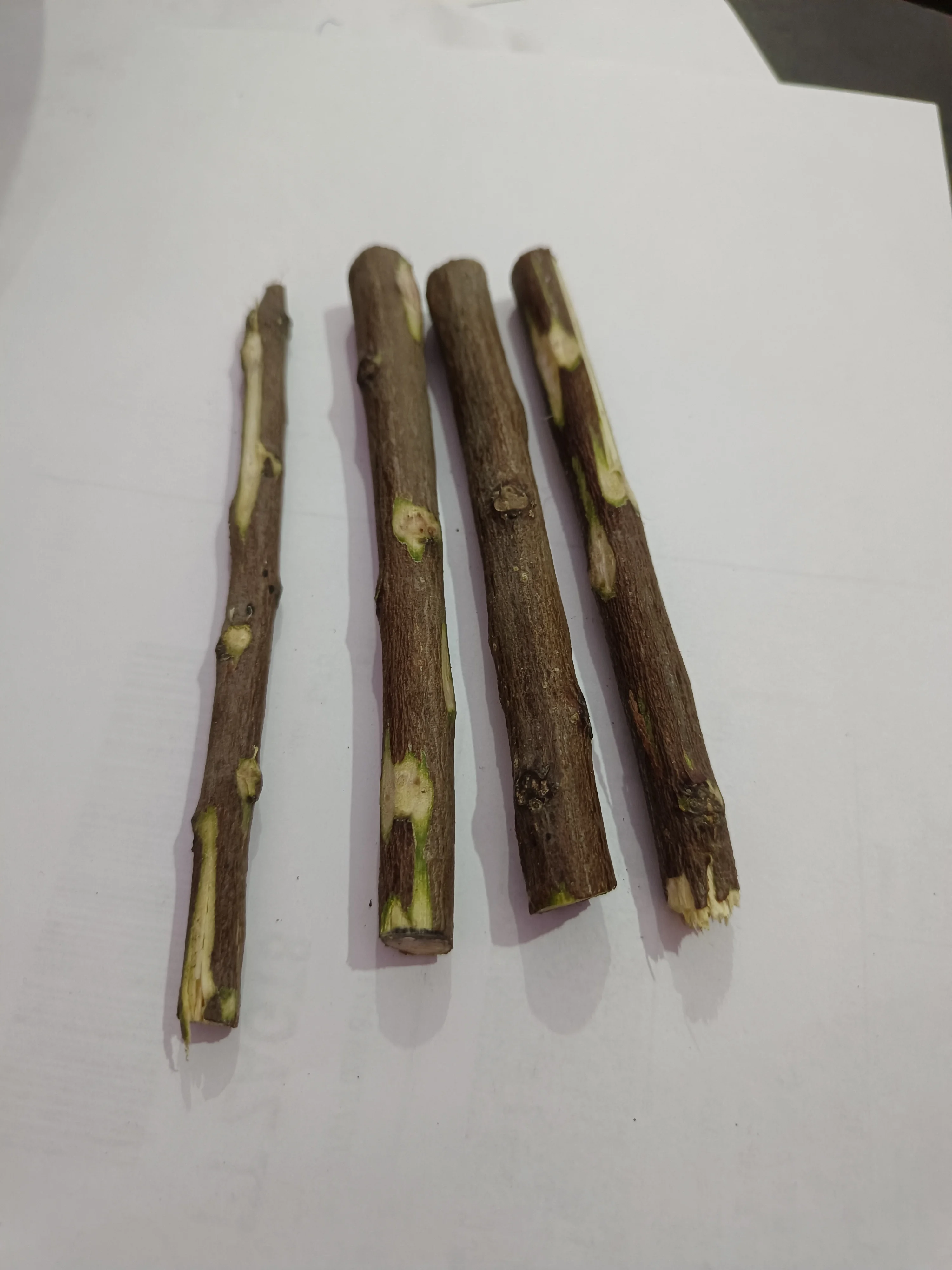 Natural Organic Neem Datun Toothbrush Nim Tree Twigs Chew Sticks for Brushing Teeth Removes Bad Breath, Relie