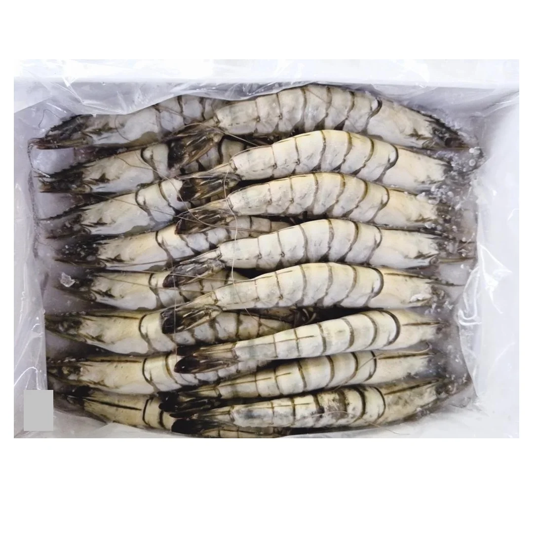 Best Quality Frozen Fresh Shrimp Black Tiger Prawn from VietNam