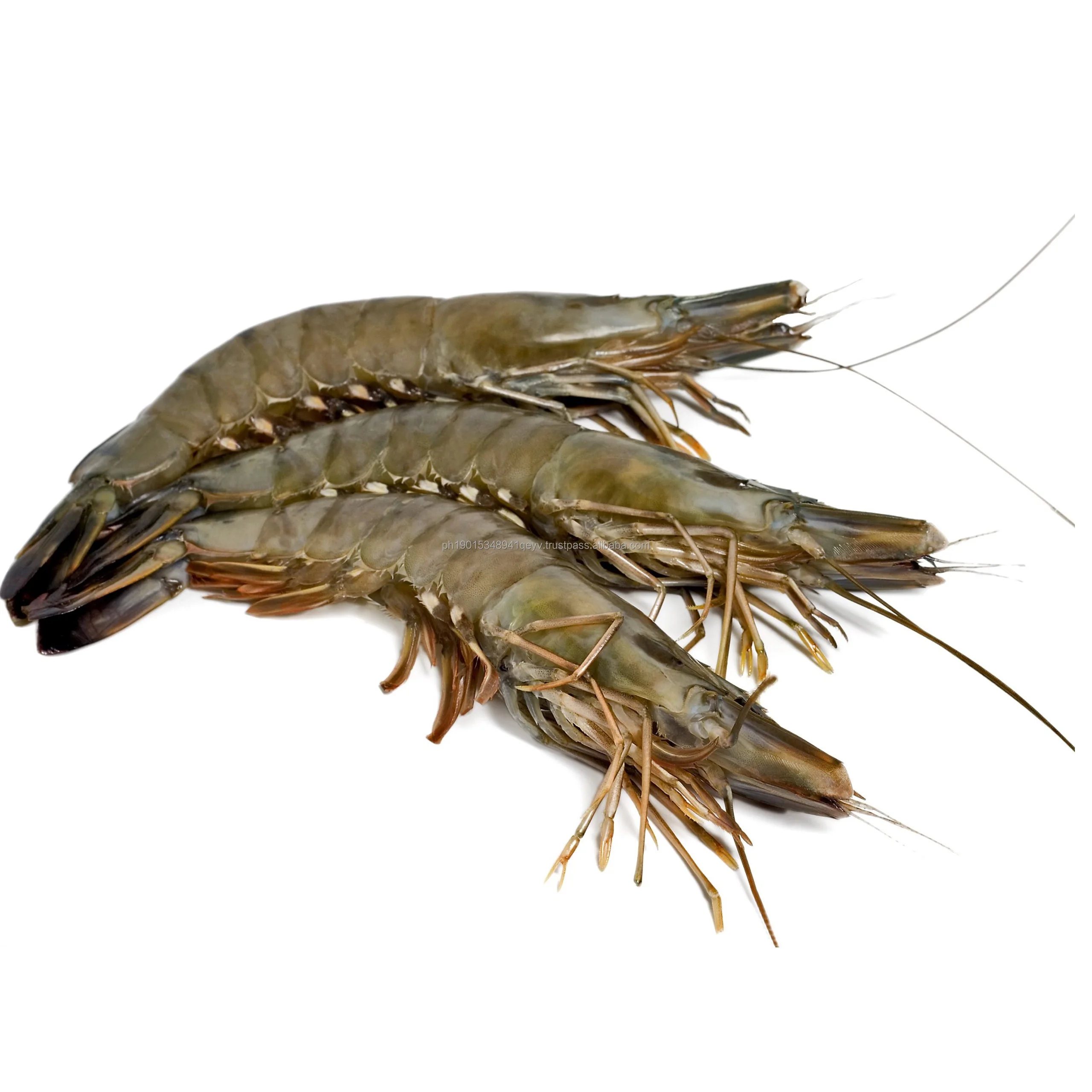 Affordable Fresh Seafood High quality Peeled Shrimp Black Tiger Shrimp Wholesale Suppliers