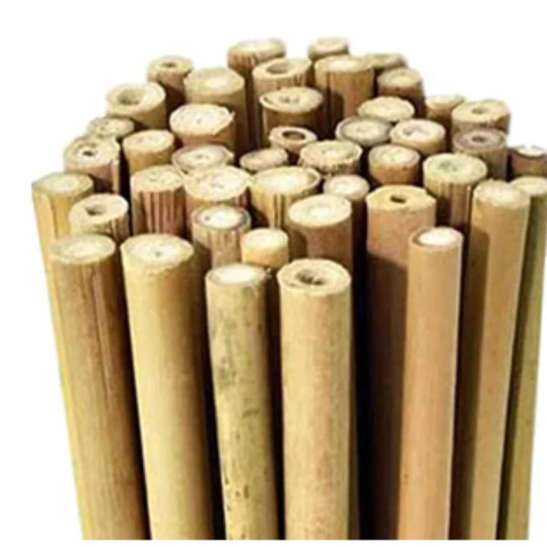 Bamboo Stakes Bamboo Pole Bamboo Cane Cheap Price Vietnam Supplier