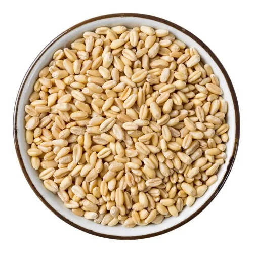 High Quality Soft Hard Wheat Grains 100% Pure Wheat Barley Soft Milling Wheat Ready for Export at Low Price Premium Quality