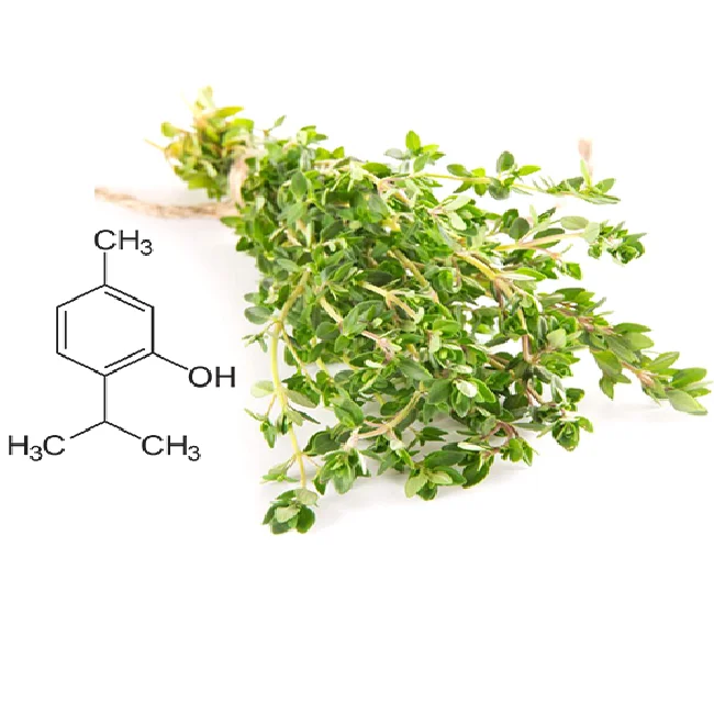 Лучшее качество от производителя, поставка натурального тимола с ароматом и внешним видом от индийского поставщика