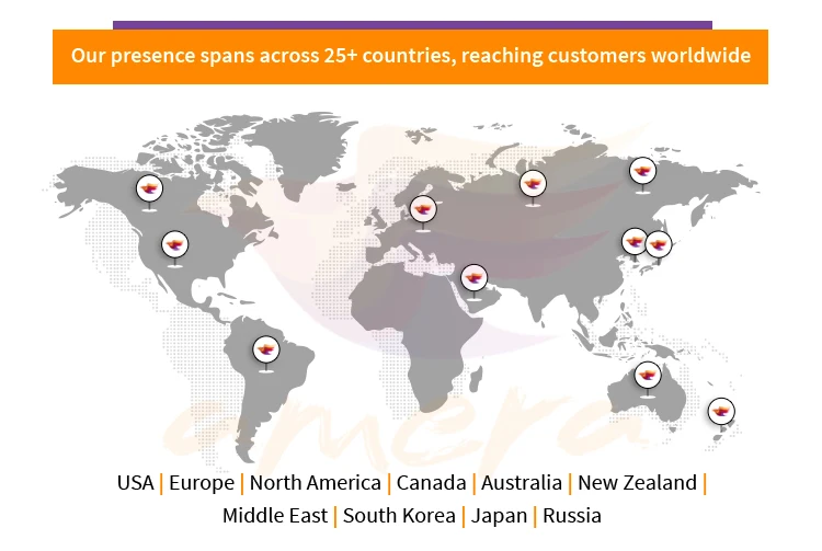 Global-Network.jpg