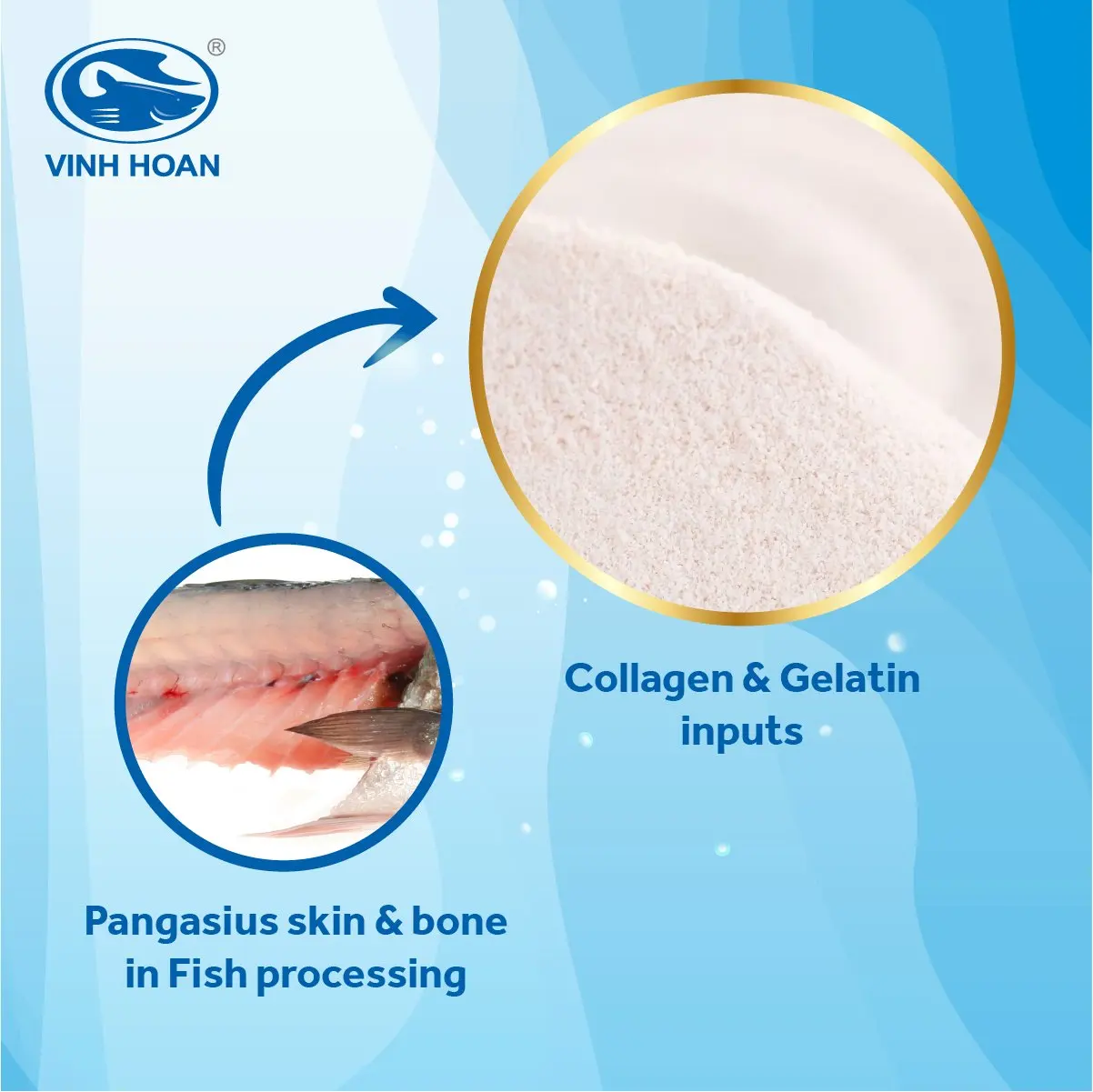 High Quality Hydrolyzed marine collagen peptide powder Fish Collagen,  support OEM/ODM